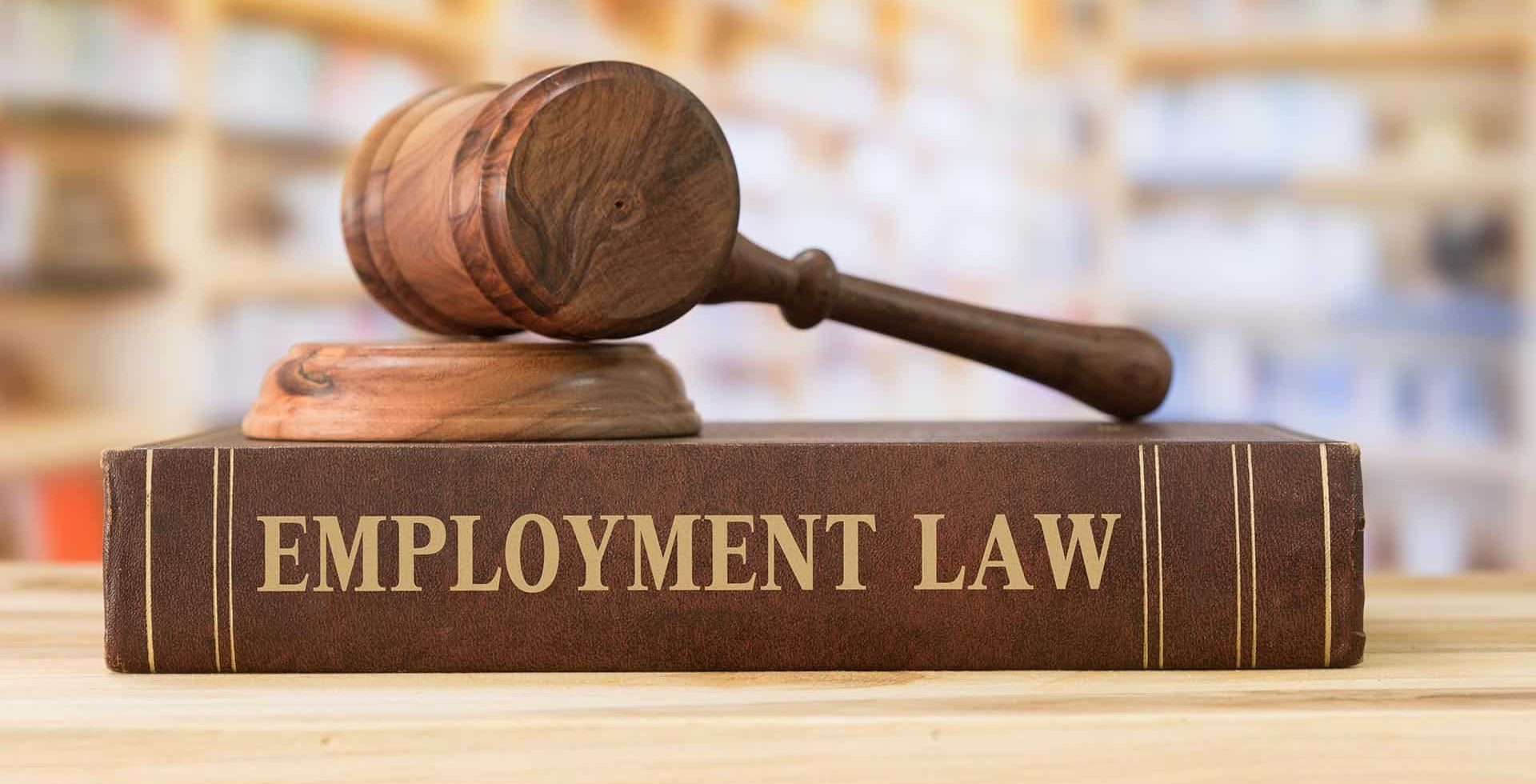 employment-law-article-3